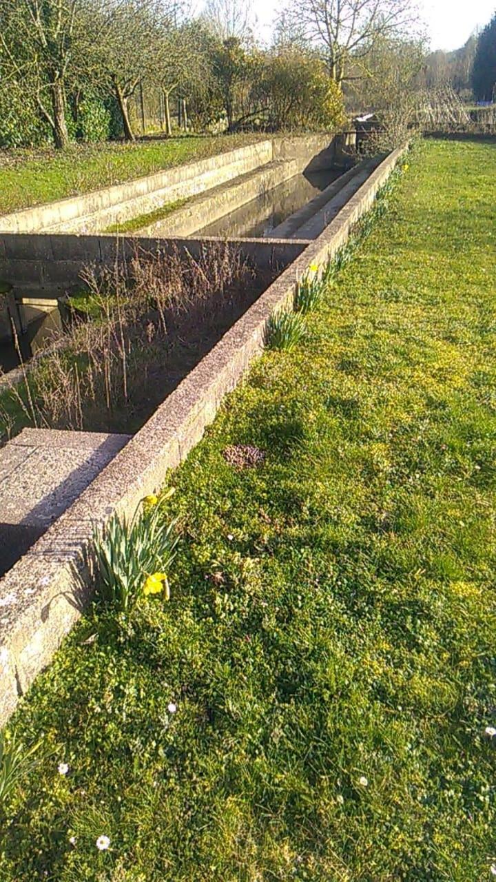 Gite Du Pont De Tancelle Préaux Dış mekan fotoğraf